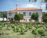 B&B/apartment for 4 guests in country house w/vineyard, Serra de So Mamede Park