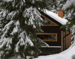 Cabin To let