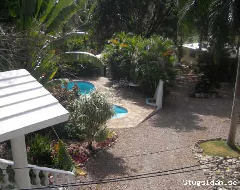 50/5000 Bungalow - Tillgänglig - Sosua - Dominikanska republiken