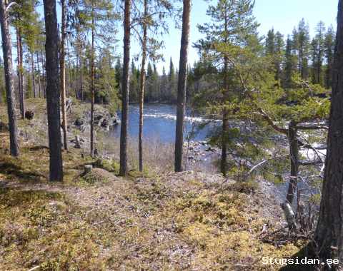 Fiskestuga Gäddfiske/ Ädelfiske