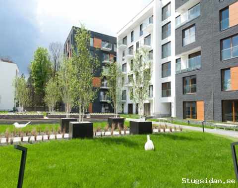 Krakow, Novum Sun & Snow