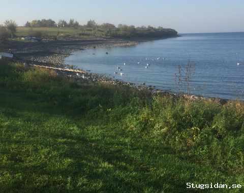 Gammalt stenhus vid Kalmarsund Grönvik/Djupvik/Norra Öland