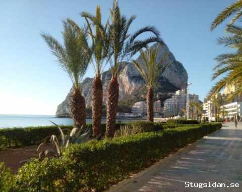 Calpe Costa Blanca Apartment direkt am Meer Pool Garten Parking