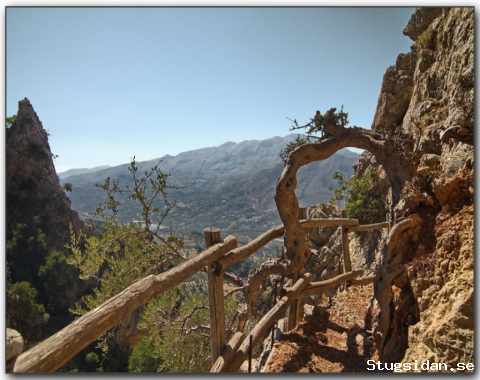 Kreta Urlaub mit Hund Ferienwohnungen am Strand