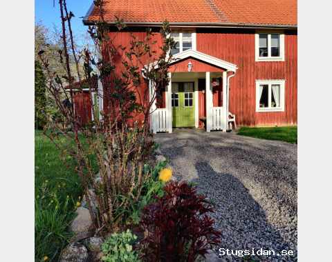 Oststört på rikigta landet , nära Kolmården Zoo och Astrid Lingrens Värld