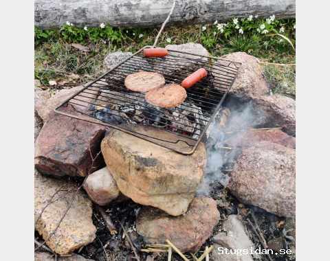 Oststört på rikigta landet , nära Kolmården Zoo och Astrid Lingrens Värld