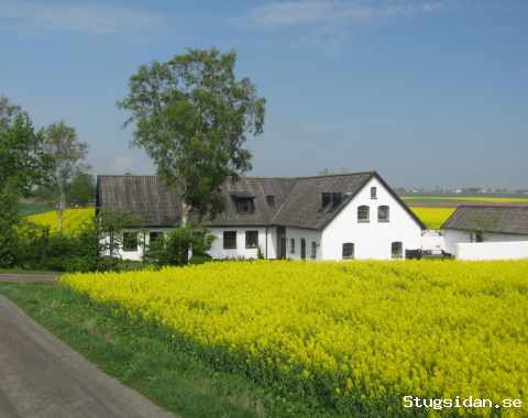 Traubgården Österlen