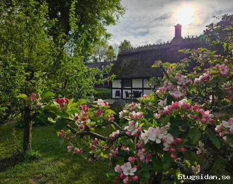 GÅRDSHUS I SÖDRA LÖKARÖD