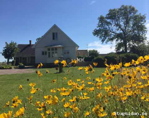 Vita Krusbärsstället