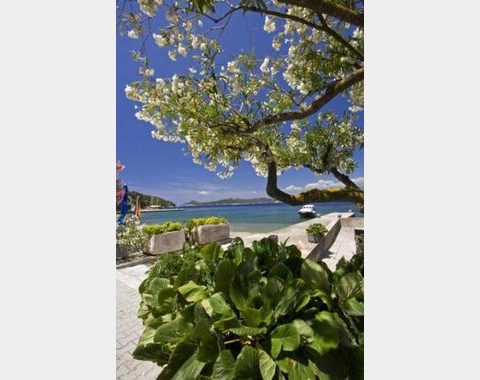 Bilfri idyll - ØYEN LOPUD - nær Dubrovnik, rom/leiligheter rimlig til leie.