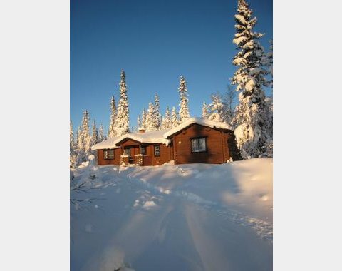 Fjällstuga i Lofsdalen