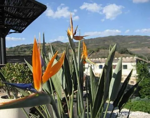 Bo i vakker natur med stillhet, turgåing, sjarm og kunst.