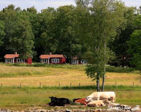 Lidö, idyllisk skärgårdsmiljö med havsutsikt!
