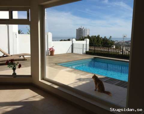 Utsikt över Med & Gib från salongen!