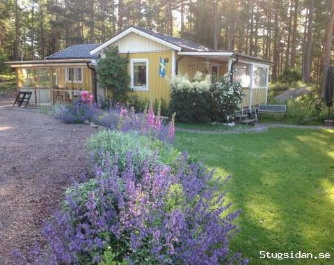 Familjestuga i Kolmården, Granen