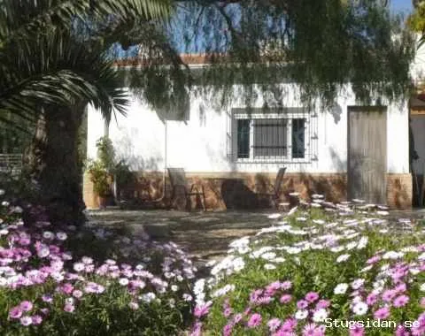 En oas i oupptäckta Vera, Almeria, Spanien