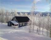 Beautiful cabin in the