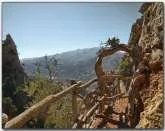 Lägenhet i Grekland, Crete, Sfakaki - Kreta Urlaub mit Hund Ferienwohnung...