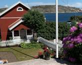 Small luxurious cottage with a sea ...