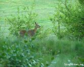 Gemtliche Htte in einem Naturschutzgebiet + Rundfahrt/Rundgang