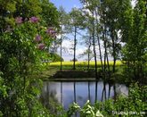 Hjortsbytorp Bed & Breakfast