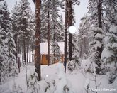 Little timberhouse nearby Jokkmokk