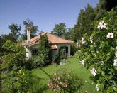 Madeira Funchal, charming country cottage for rent