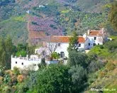 Hus i Spanien, Malaga, Comares, Malaga - Finca Lo Martin