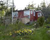 Tree room and kitchen in the archipelago of Vstervik