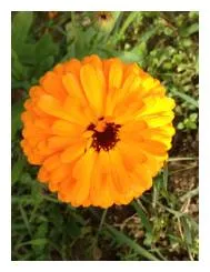 Advertiser: Sven-Olof Nyberg in Överkalix